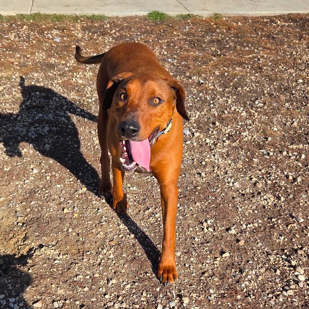 Beefcake "Beefy" McGee