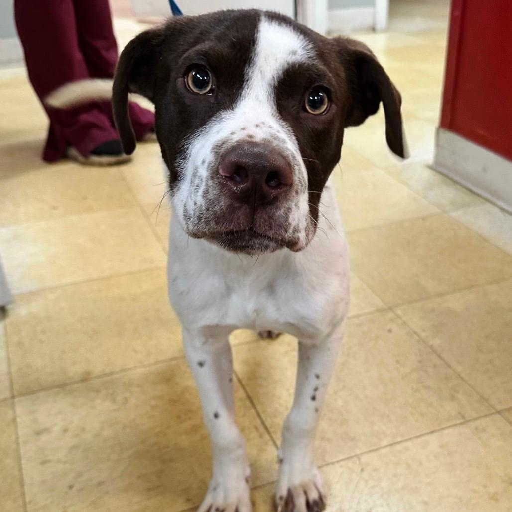 Harrow PR Floor crate