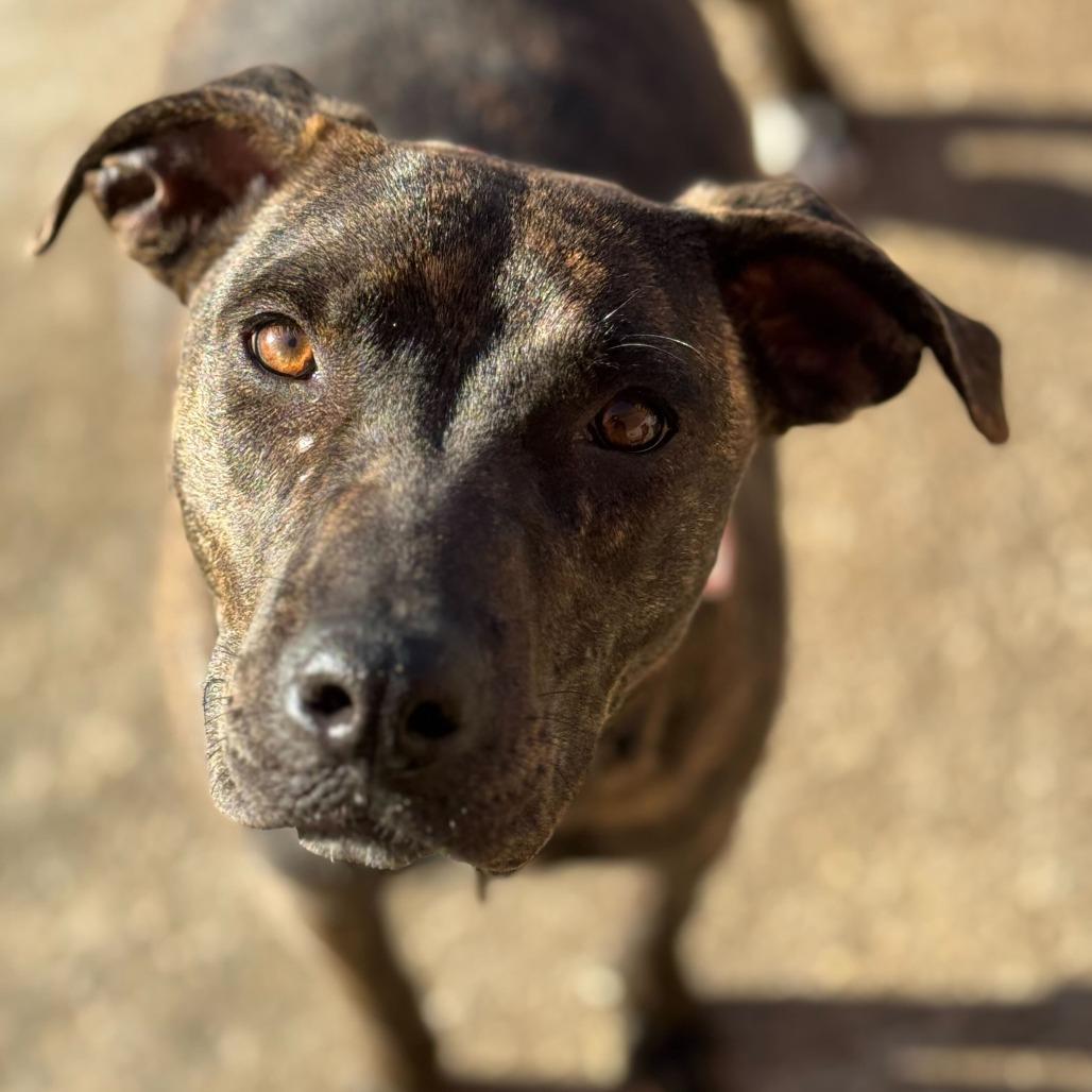 Mystery- See my video!!