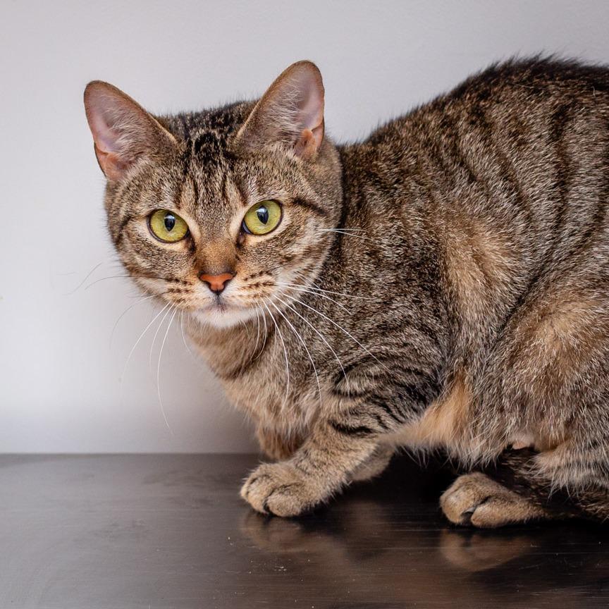 Iris by Goo Goo Dolls