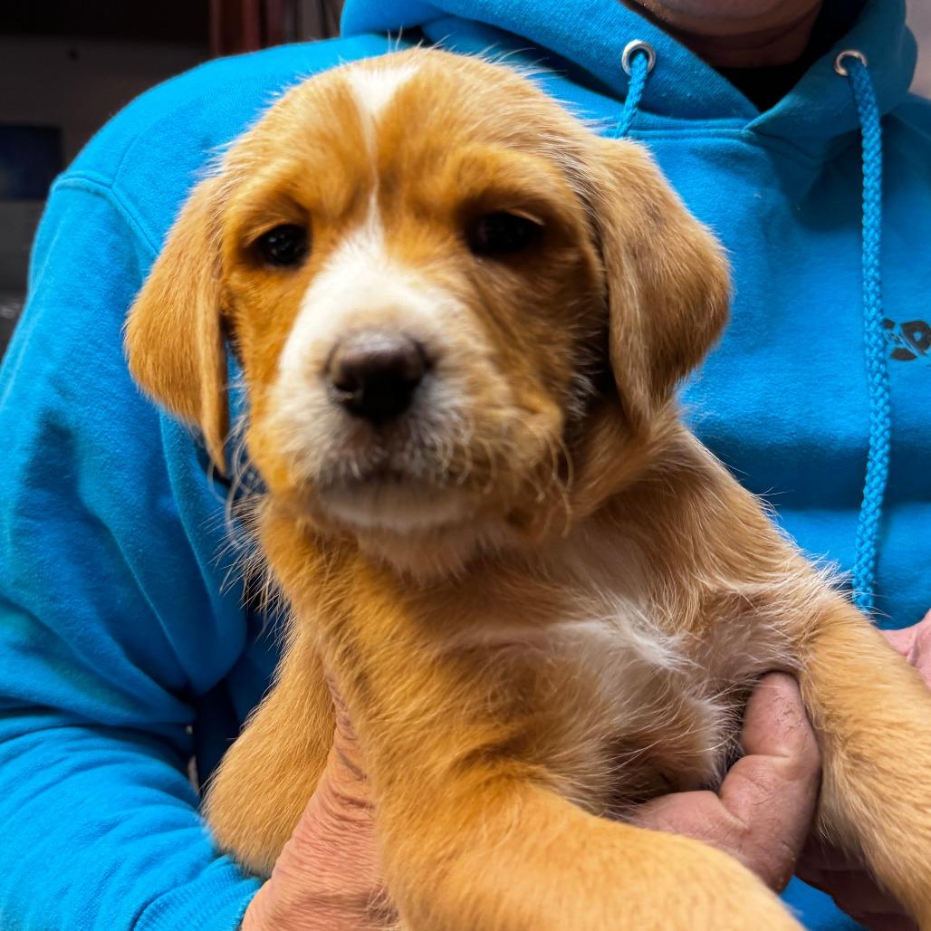 NY Chase Avail Dec 20 (Tractor Supply Patterson)