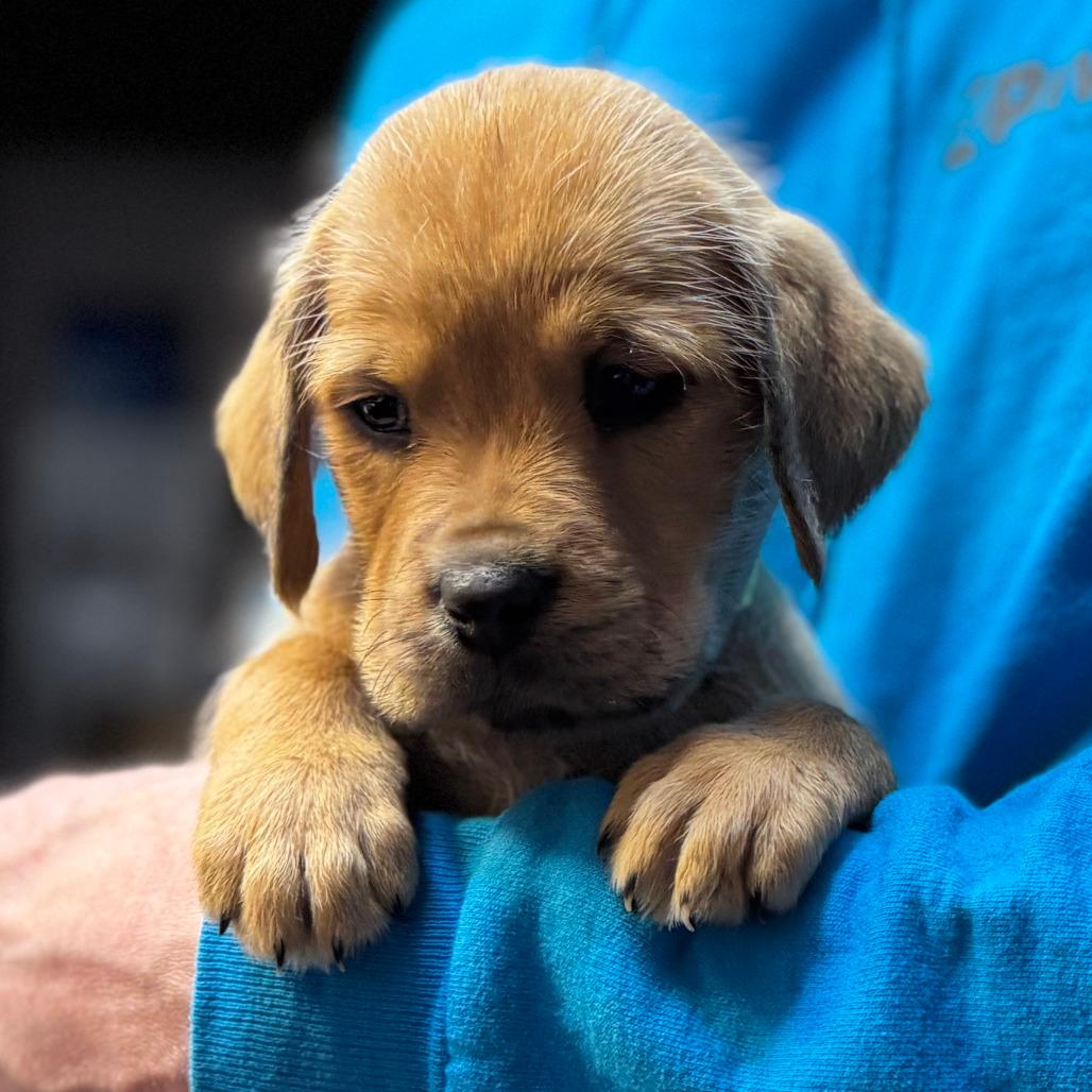 NY River Avail Dec 20 (Tractor Supply Patterson)