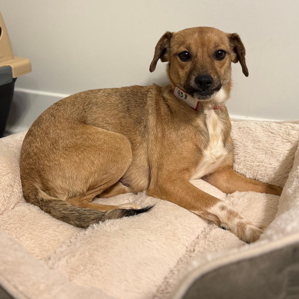 938 (2025) Mama Zora