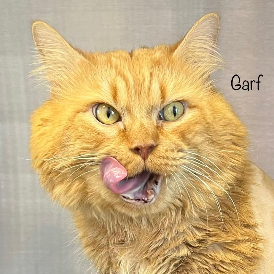 Garf