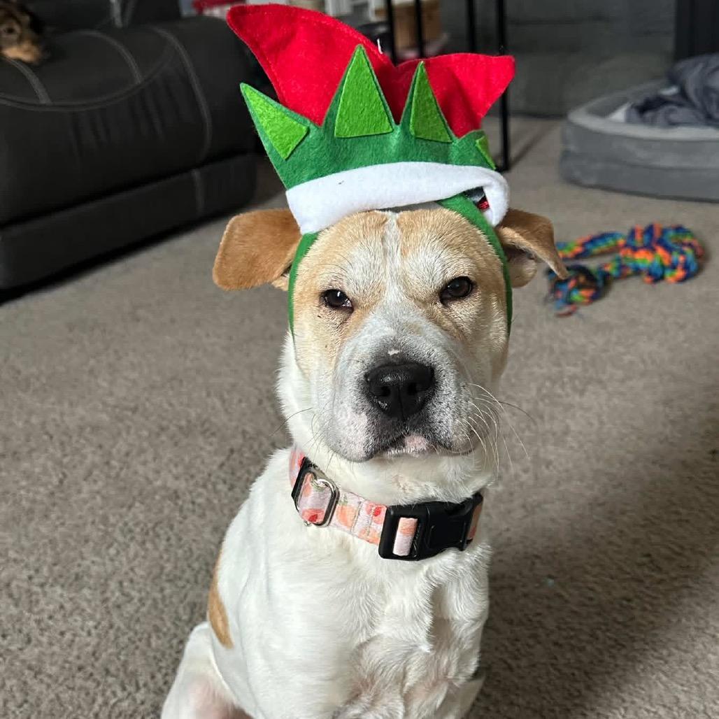 Diamond in the Rough