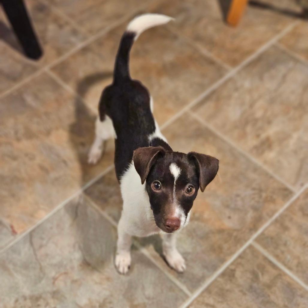 Milo