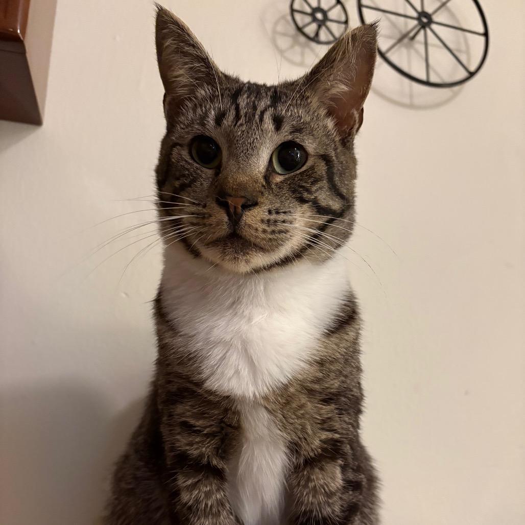 Tangerine Pafford-HW