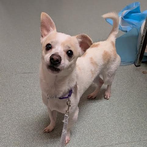 Cocoa - see my video!