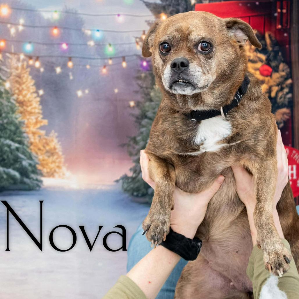 Nova