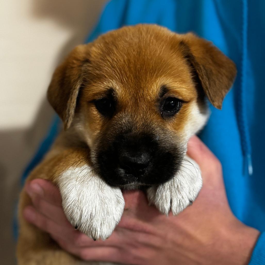 NY Sea Salt Avail Dec 27 (Tractor Supply - Patterson)