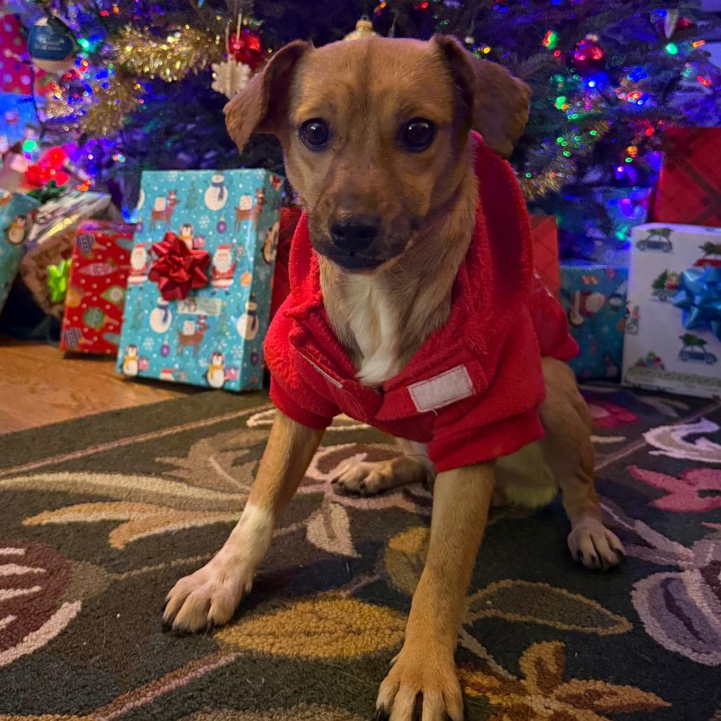 938 (2025) Mama Zora