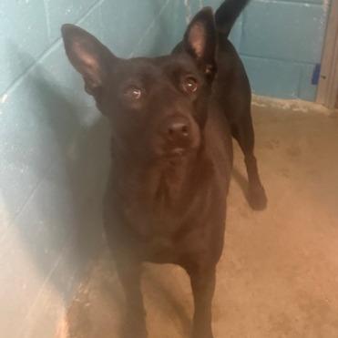 Baby Zen FKA Rini (RiRi)