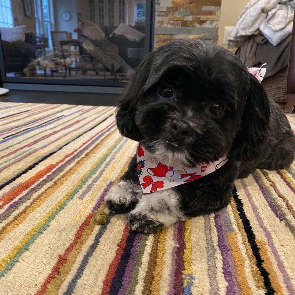 Winnie (Manhattan/Queen) 