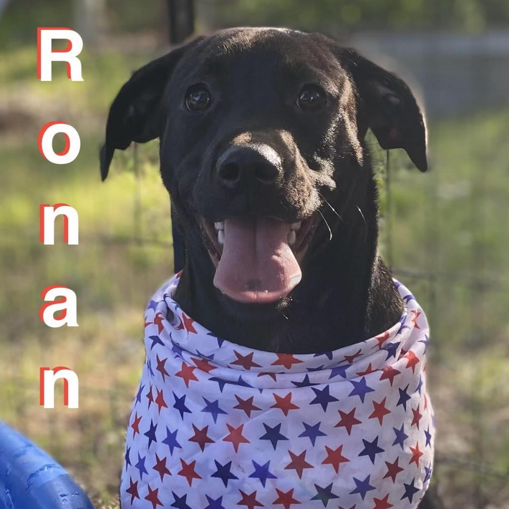 Ronan