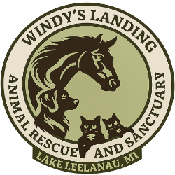 shelter logo