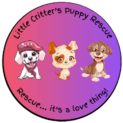 shelter logo