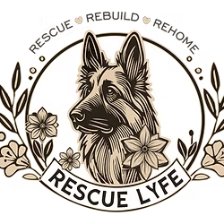 shelter logo