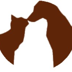 shelter logo