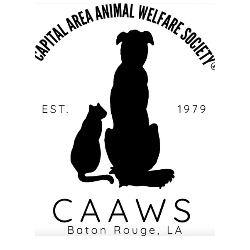 shelter logo