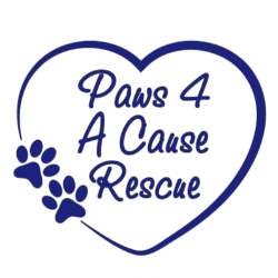 Paws 4 A Cause Rescue