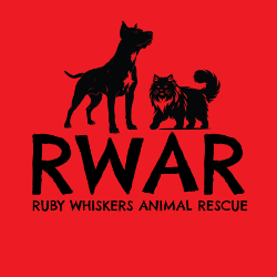 shelter logo