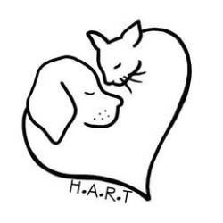 shelter logo