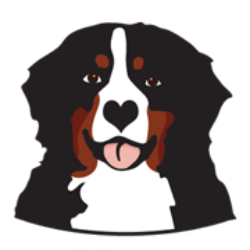 shelter logo