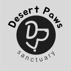 shelter logo