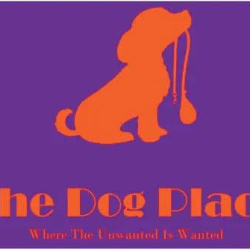 shelter logo