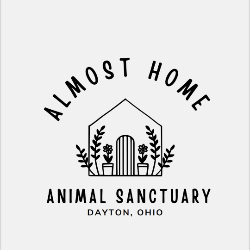 shelter logo