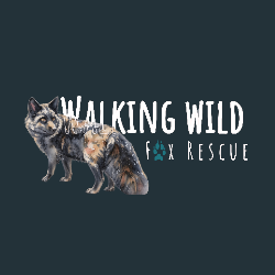 shelter logo