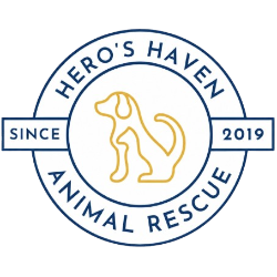 shelter logo