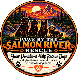 shelter logo
