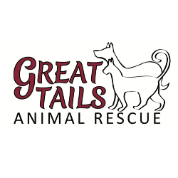 shelter logo