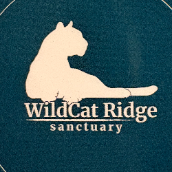shelter logo