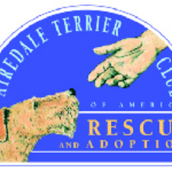 National Airedale Rescue, Inc.