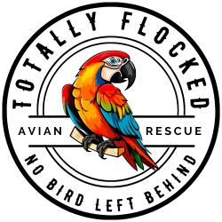 shelter logo