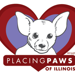 shelter logo