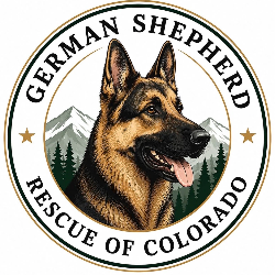 shelter logo