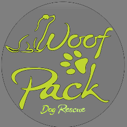 shelter logo