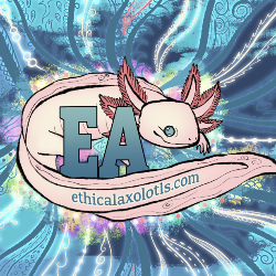 shelter logo