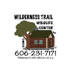 shelter logo