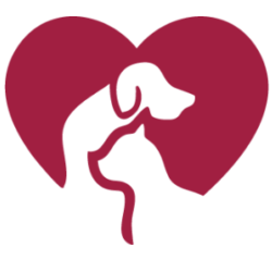 shelter logo