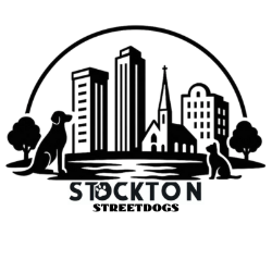 shelter logo