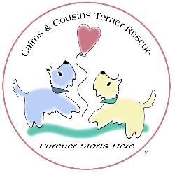 shelter logo