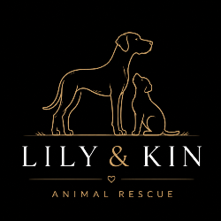 shelter logo