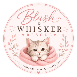 shelter logo