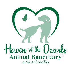 shelter logo