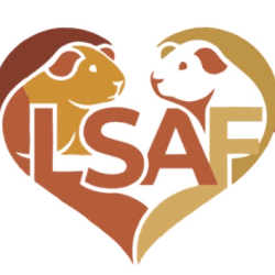 LSAF