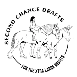 shelter logo